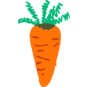 Carrot