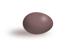 Brown Egg