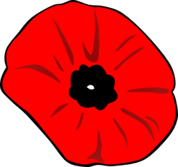 Poppy Remembrance Day