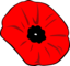 Poppy Remembrance Day