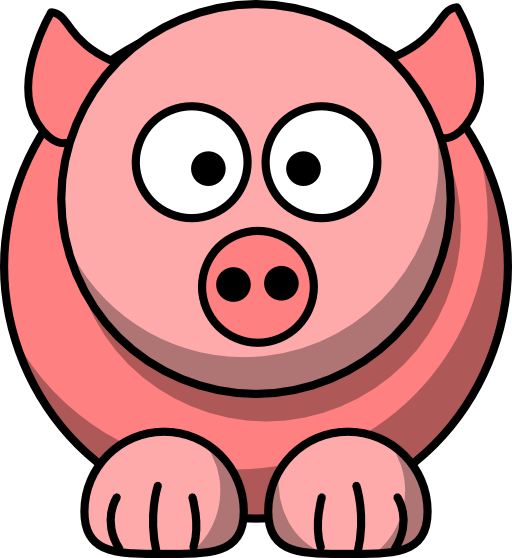 Pig