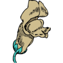 download Snapdragon clipart image with 90 hue color