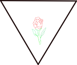 Rosa Y Triangulo