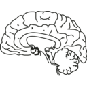 download 58294main The Brain In Space Page 157 Brain clipart image with 90 hue color