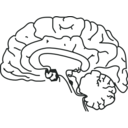 download 58294main The Brain In Space Page 157 Brain clipart image with 180 hue color