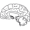 download 58294main The Brain In Space Page 157 Brain clipart image with 270 hue color