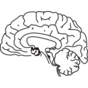 download 58294main The Brain In Space Page 157 Brain clipart image with 0 hue color