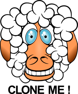 Funny Sheep