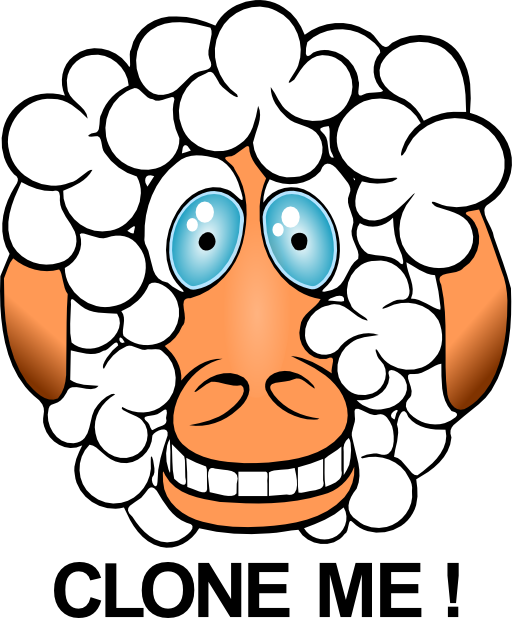 Funny Sheep