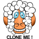 Funny Sheep