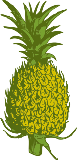 Pineapple