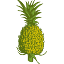 download Pineapple clipart image with 0 hue color