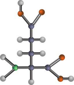 Glutamic Acid Amino Acid