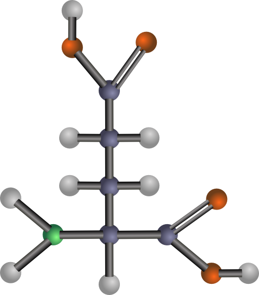 Glutamic Acid Amino Acid