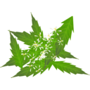 download Neem By Netalloy clipart image with 0 hue color