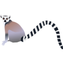 Lemur Lemurien