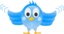 Tweet Bird