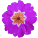 download Flower 11 clipart image with 315 hue color
