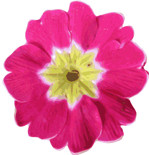 Flower 11