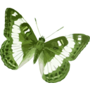 download Limenitis Trivena clipart image with 45 hue color