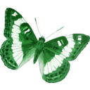 download Limenitis Trivena clipart image with 90 hue color