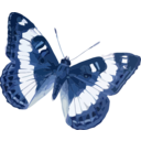 download Limenitis Trivena clipart image with 180 hue color