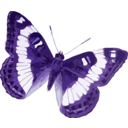 download Limenitis Trivena clipart image with 225 hue color