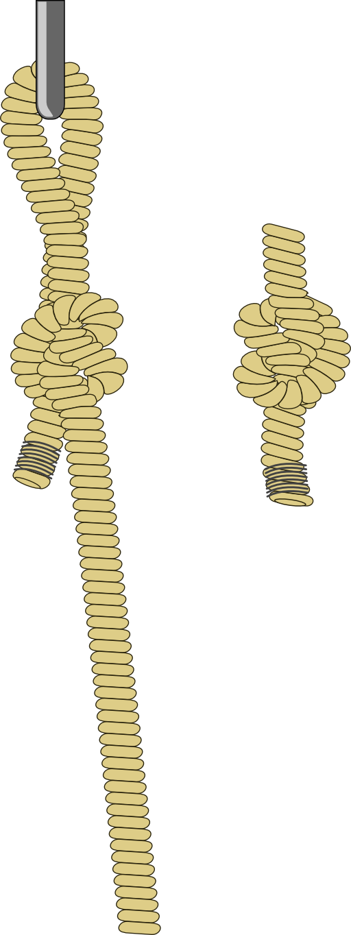 Cuerda Y Alcayata