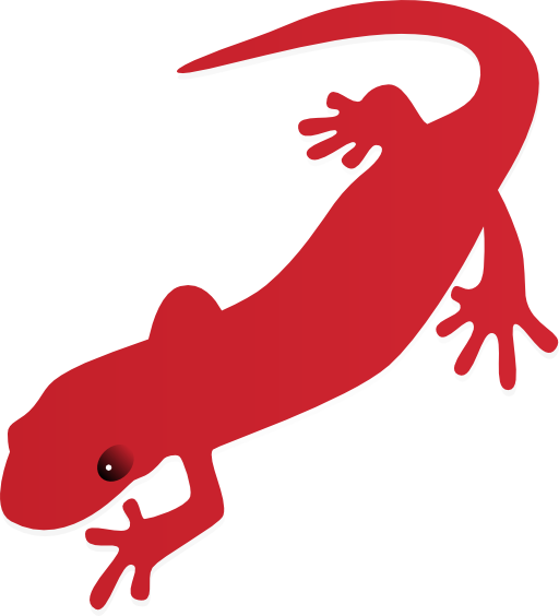 Salamander