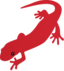 Salamander