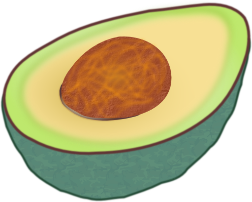 Avocado