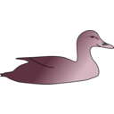 download Duck clipart image with 315 hue color