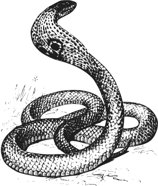Cobra Grayscale