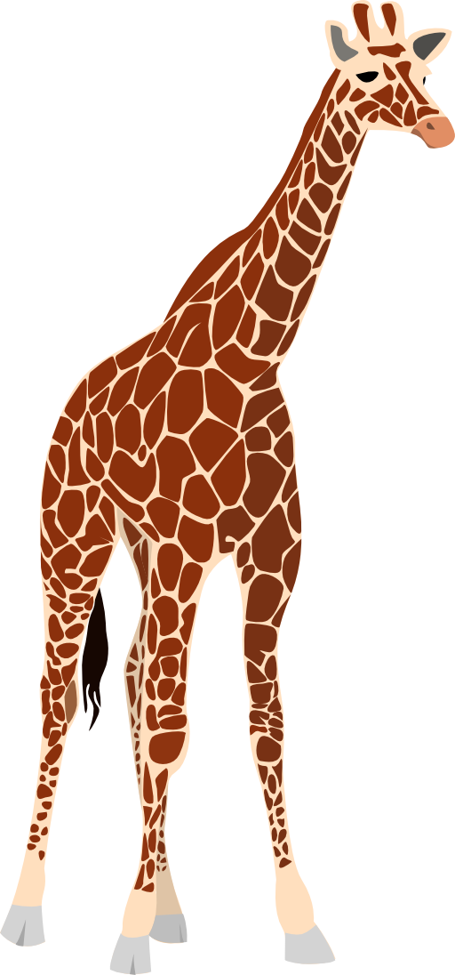 Another Giraffe