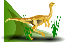 Gallimimus Mois S Rinc 03r