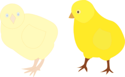 Chicks Figure Color