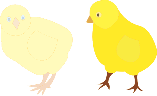Chicks Figure Color