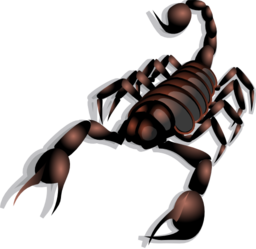 Scorpion