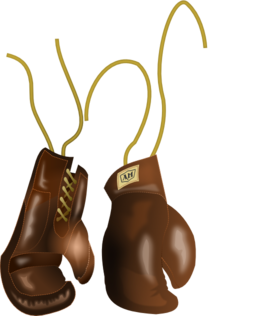 Vintage Leather Boxing Gloves