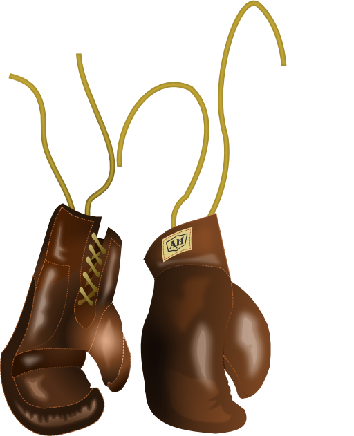 Vintage Leather Boxing Gloves