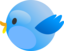 Cutie Bird