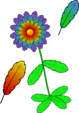 Flower And Feather