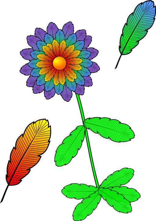 Flower And Feather