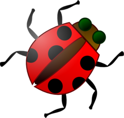 Ladybug