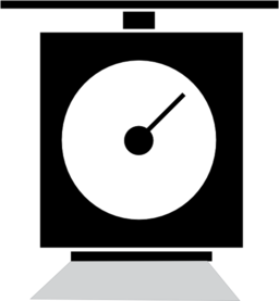 Scale Icon