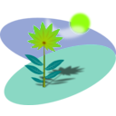 download Flower clipart image with 45 hue color