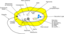 Bacterie
