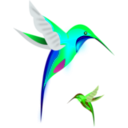 download Colibri Birds clipart image with 135 hue color