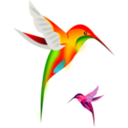 download Colibri Birds clipart image with 0 hue color