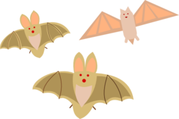 Bat